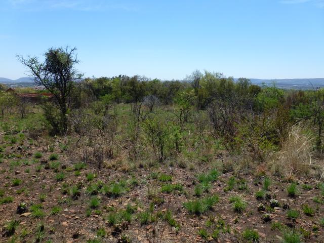  of property in Rietfontein JR