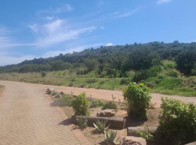 Standard Bank SIE Sale In Execution Land for Sale in Alicedale - MR166769