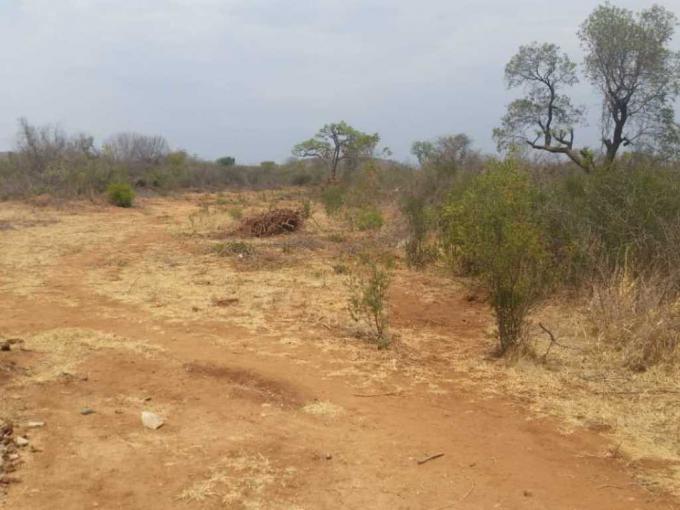 Land for Sale For Sale in Lebowakgomo - MR537860