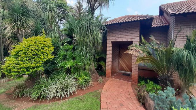 3 Bedroom House to Rent in Moreletapark - Property to rent - MR545210