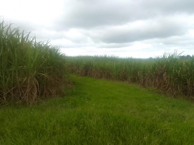 Farm for Sale For Sale in Tongaat - MR570894