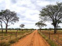  of property in Modimolle (Nylstroom)