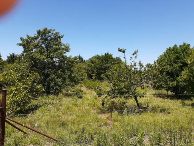 Smallholding for Sale For Sale in Cullinan - MR604863