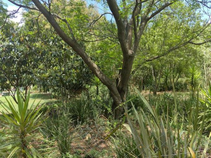 Farm for Sale For Sale in Midrand - MR609214