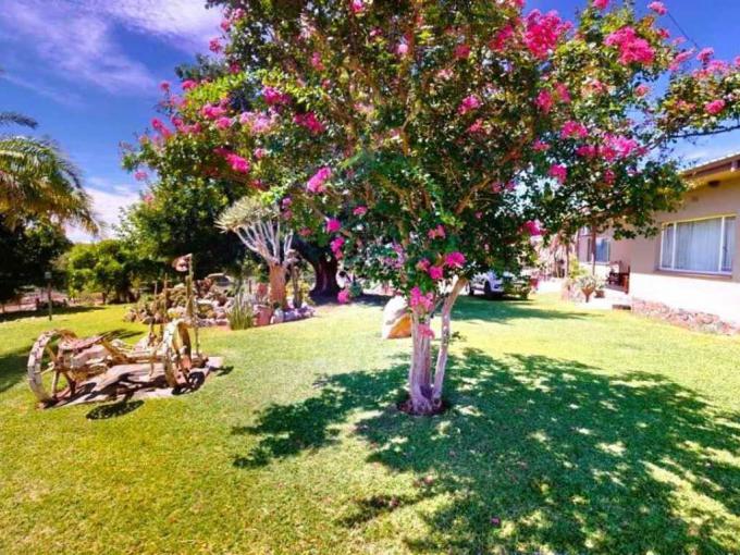 Smallholding for Sale For Sale in Upington - MR616627