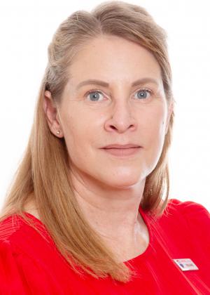 Photo of Doline Horn