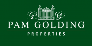 Logo of Pam Golding Belfast