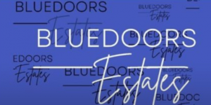 Logo of Blue Doors Estates