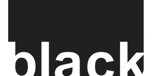 Logo of Black Real Estate