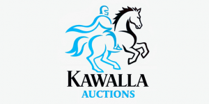 Logo of Estate Agencies of South Africa - Kawalla Auctions