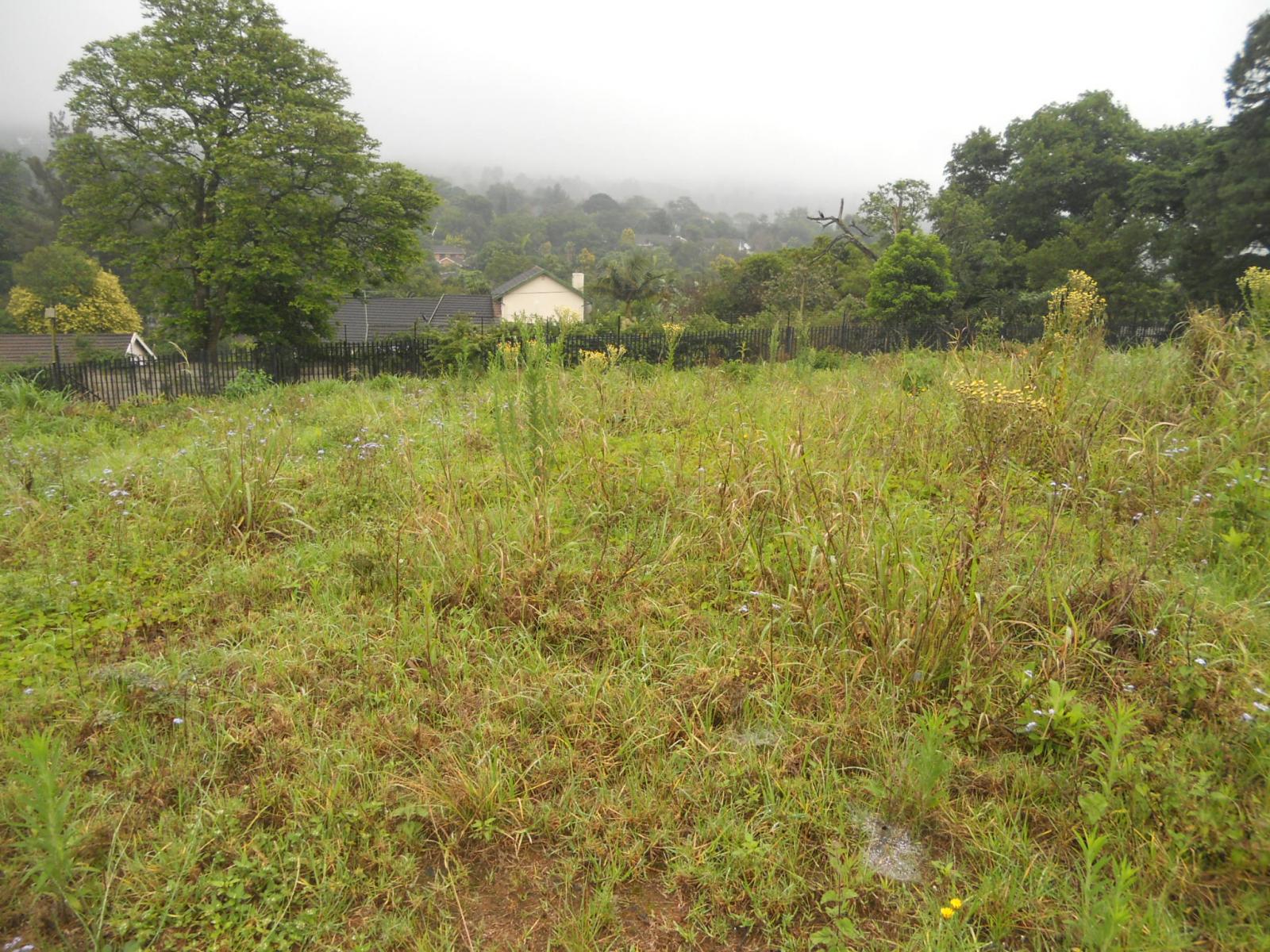 Front View of property in Town Bush Valley