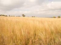 Land for Sale for sale in Vaal Oewer