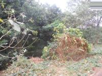 Land for Sale for sale in Pinetown 