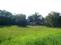 Backyard of property in Constantia Glen