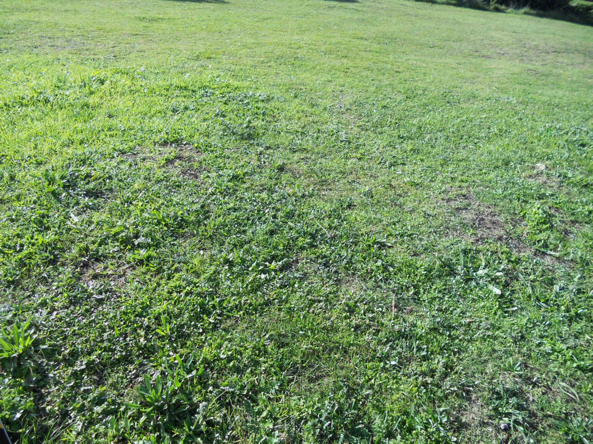 Front View of property in Jeffrey's Bay