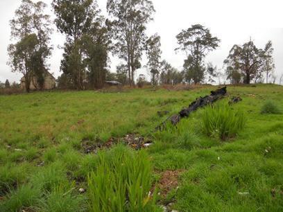 Front View of property in Mooi River