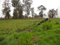 Land for Sale for sale in Mooi River