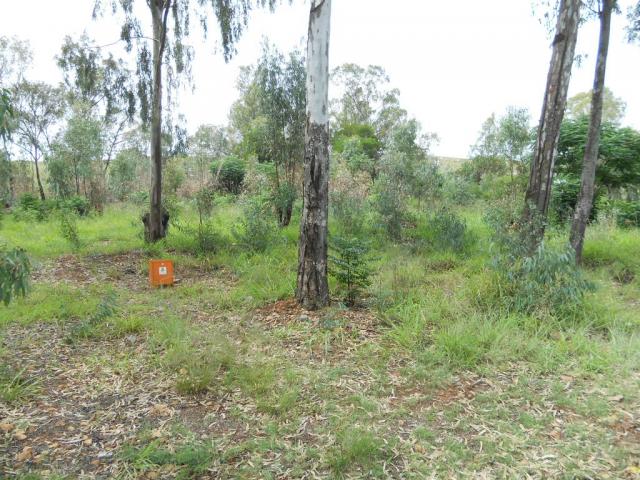 Front View of property in Cullinan