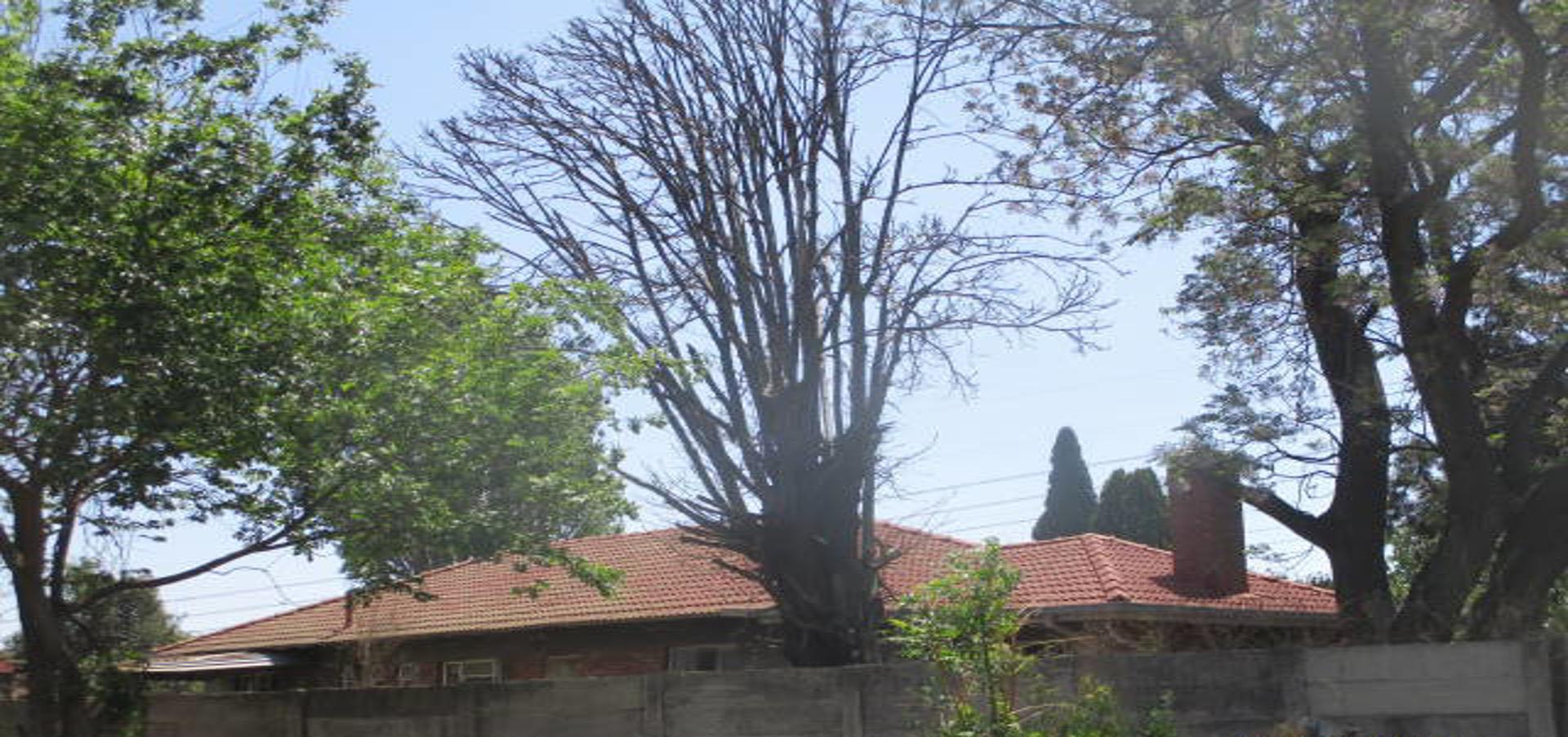 Front View of property in Pullens Hope