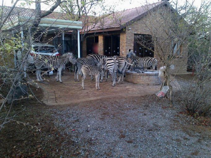 3 Bedroom House to Rent in Thabazimbi - Property to rent - MR039207