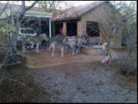 Front View of property in Thabazimbi