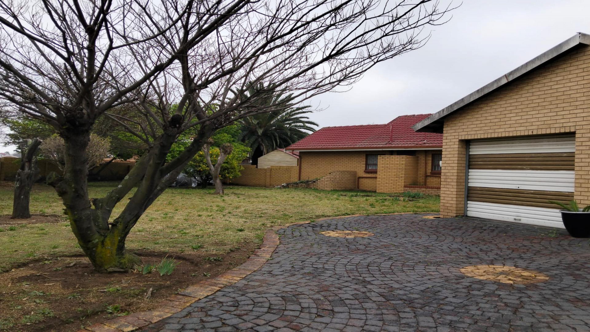 Garden of property in Sharon Park