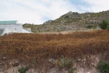 Land for Sale for sale in Saldanha