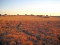 Land for Sale for sale in Kameelzyn Kraal