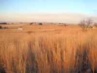 Front View of property in Kameelzyn Kraal