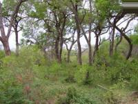 Land for Sale for sale in Hoedspruit