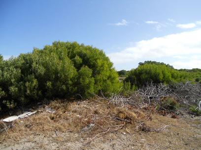 Land for Sale For Sale in Agulhas - Home Sell - MR064717