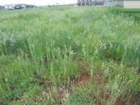 Land for Sale for sale in Witfontein