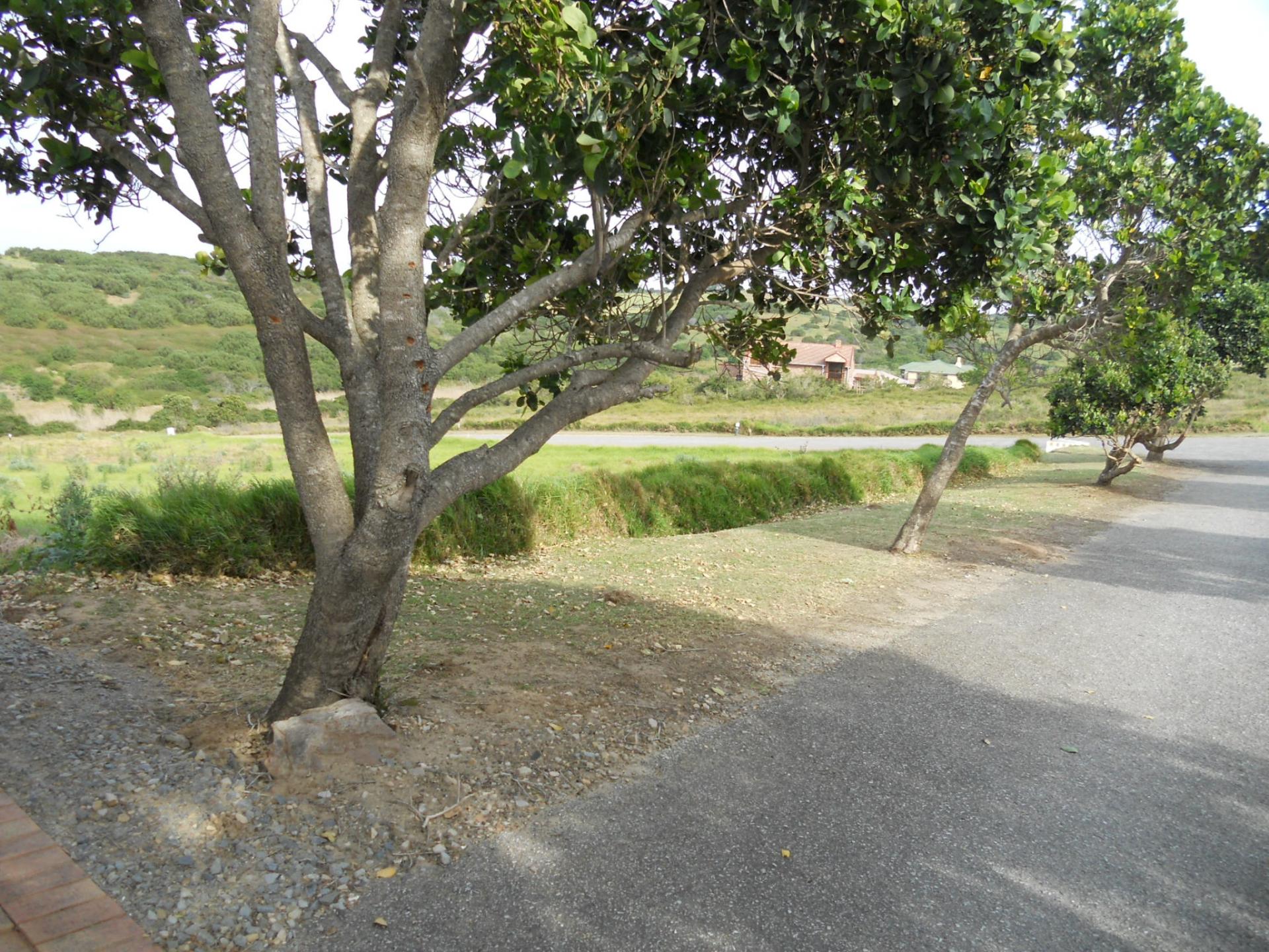 Front View of property in Port Alfred