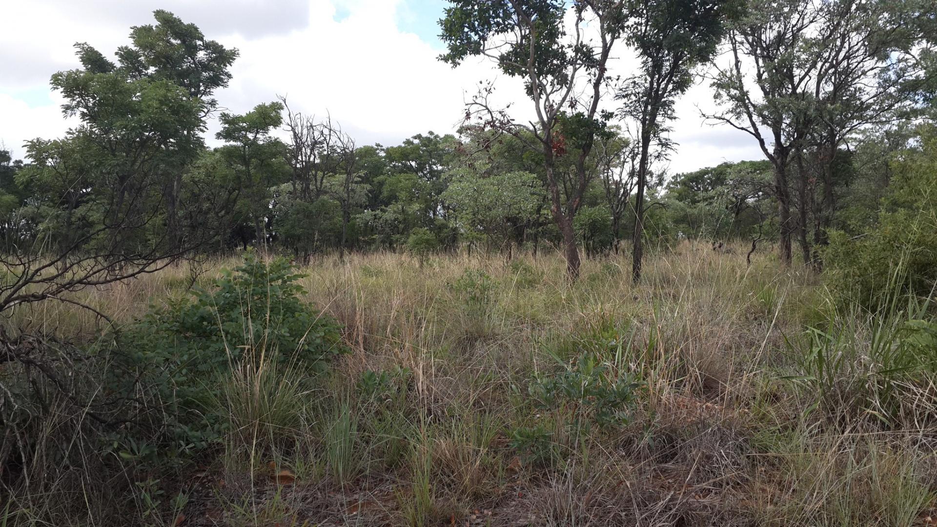 Front View of property in Mookgopong (Naboomspruit)