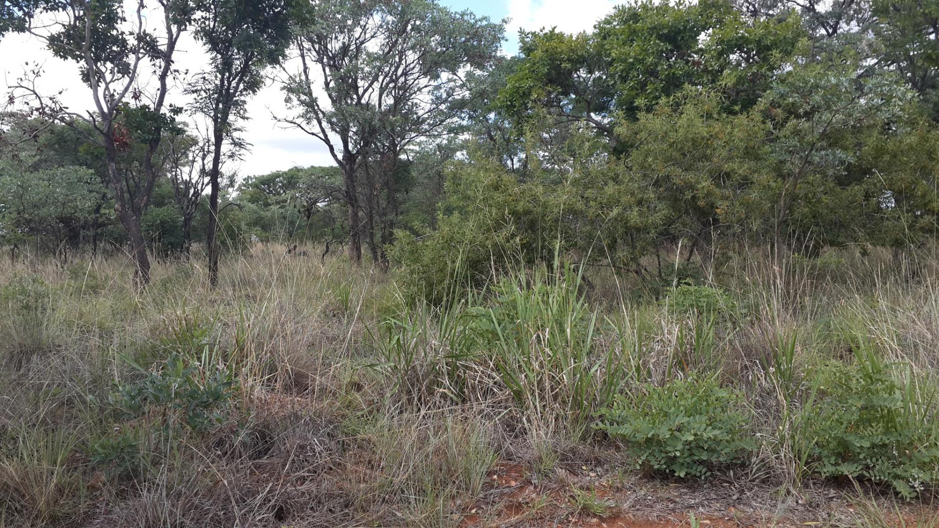 Front View of property in Mookgopong (Naboomspruit)