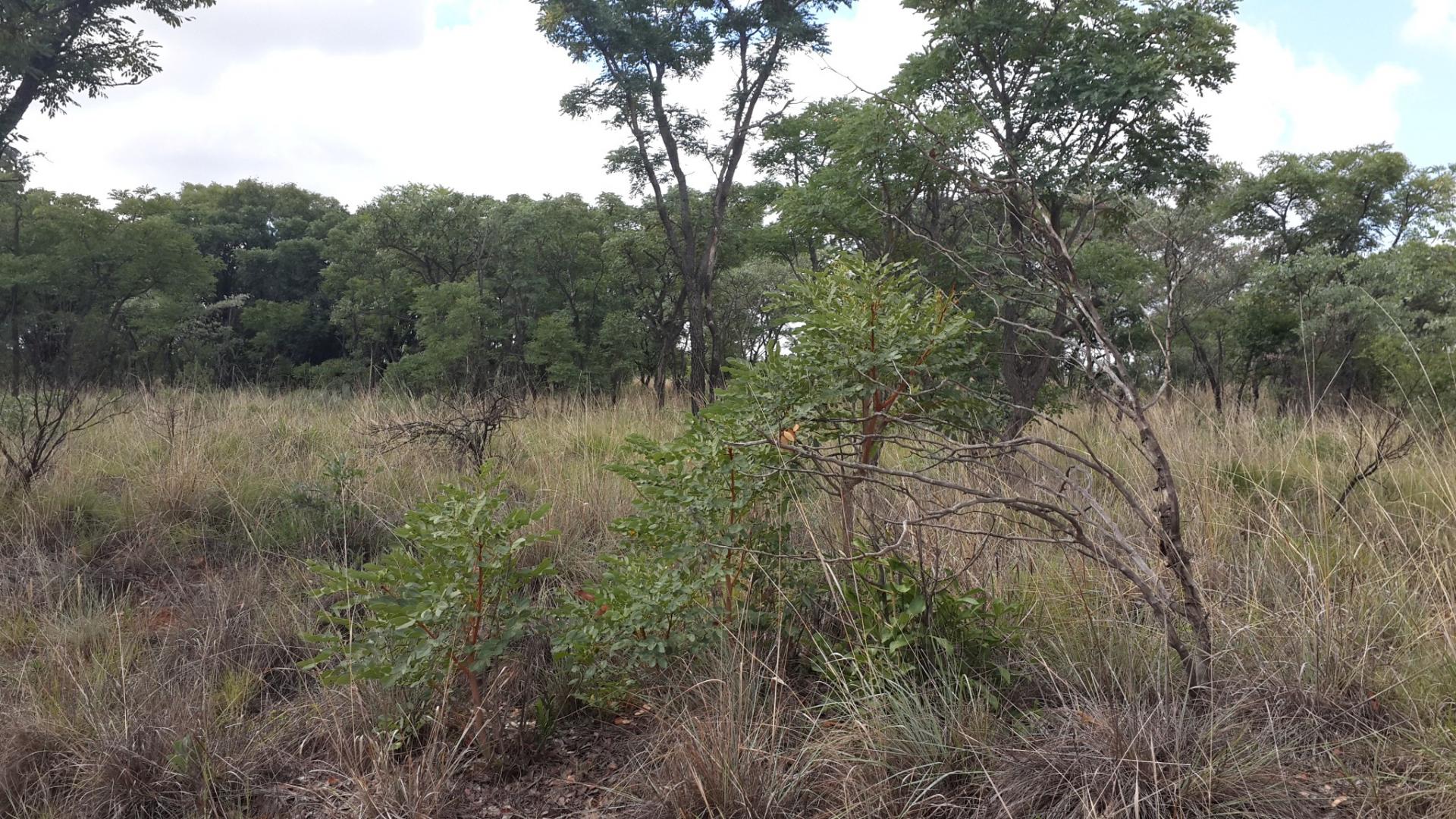 Front View of property in Mookgopong (Naboomspruit)