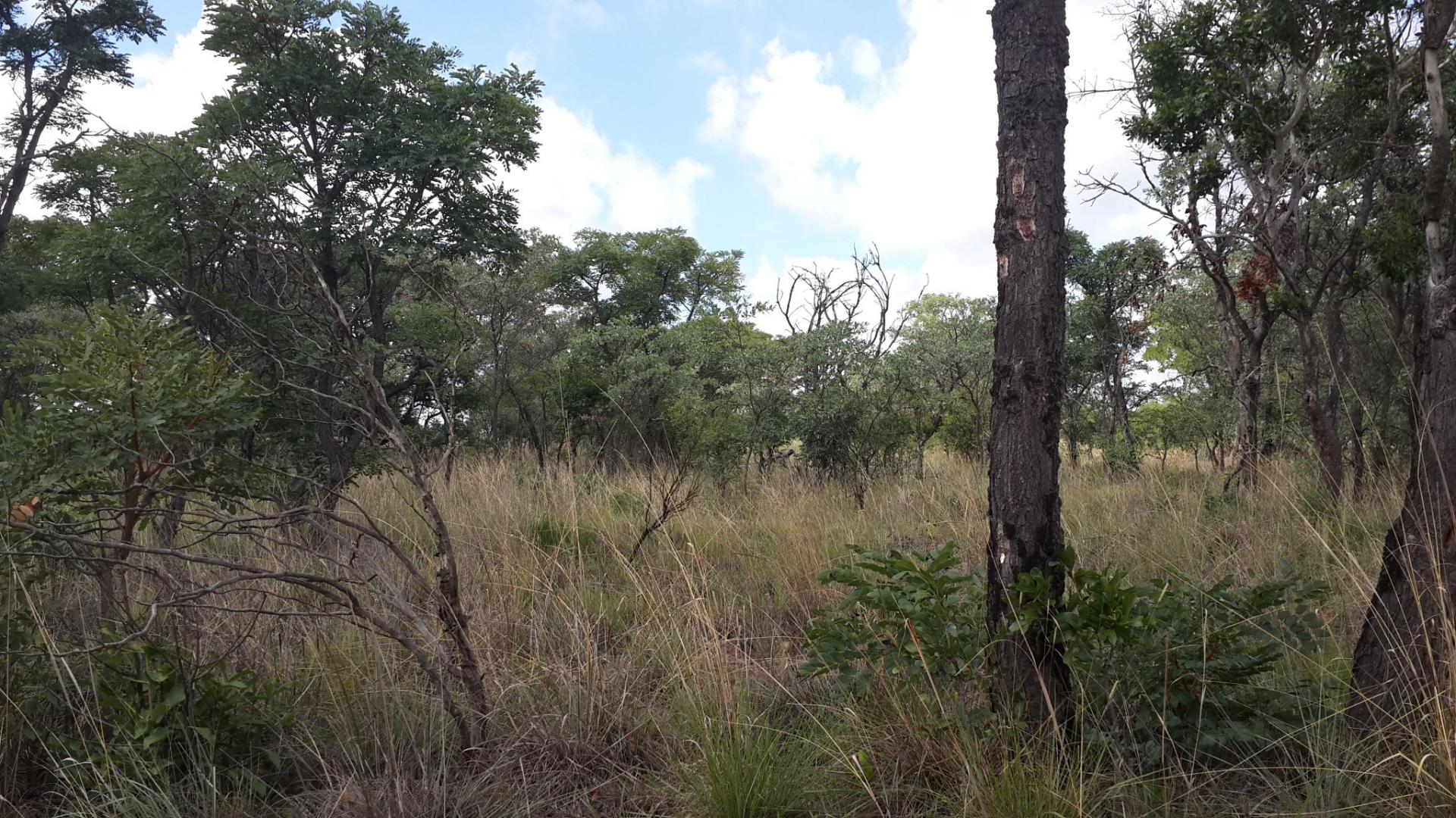 Front View of property in Mookgopong (Naboomspruit)