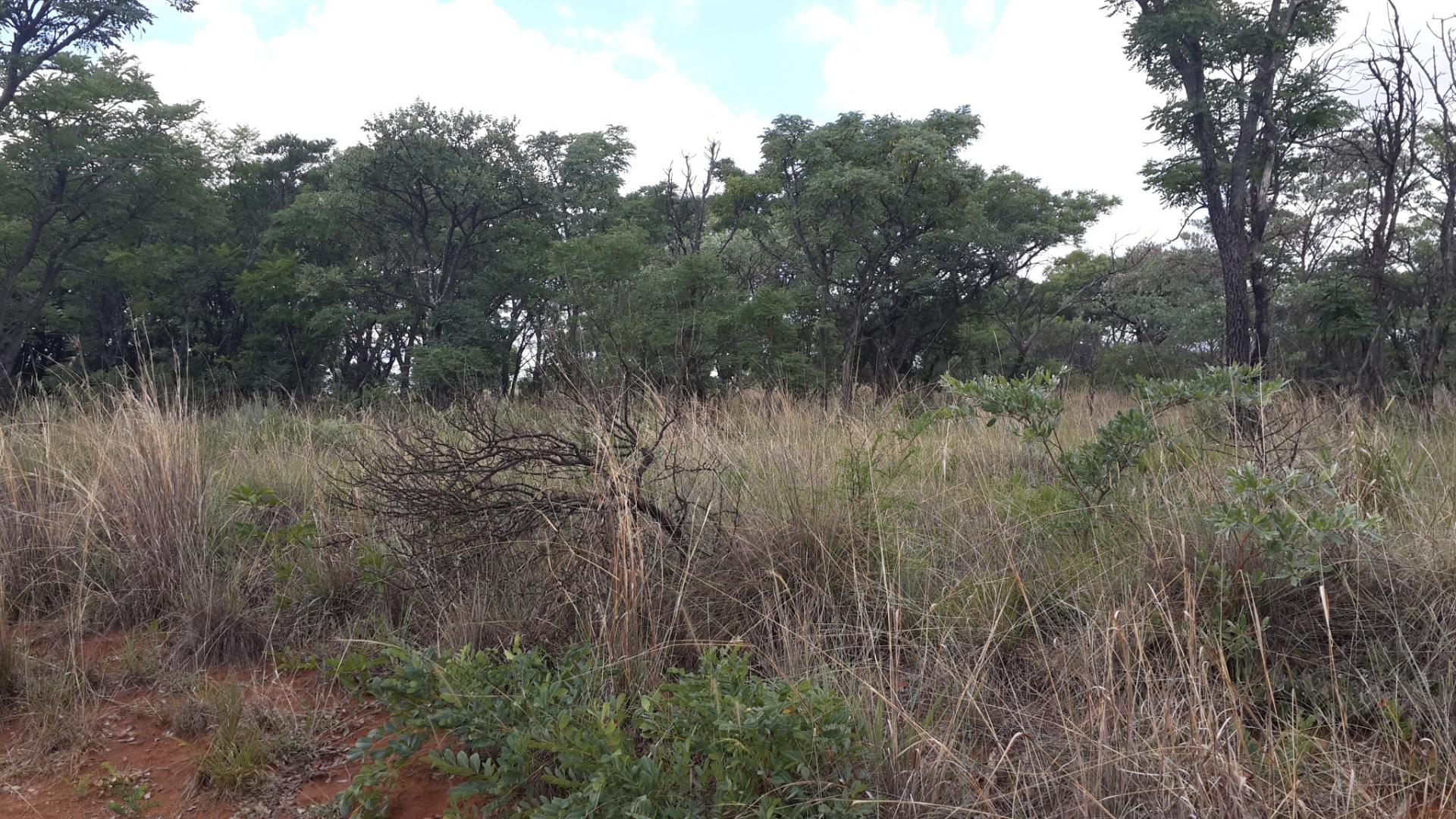 Front View of property in Mookgopong (Naboomspruit)