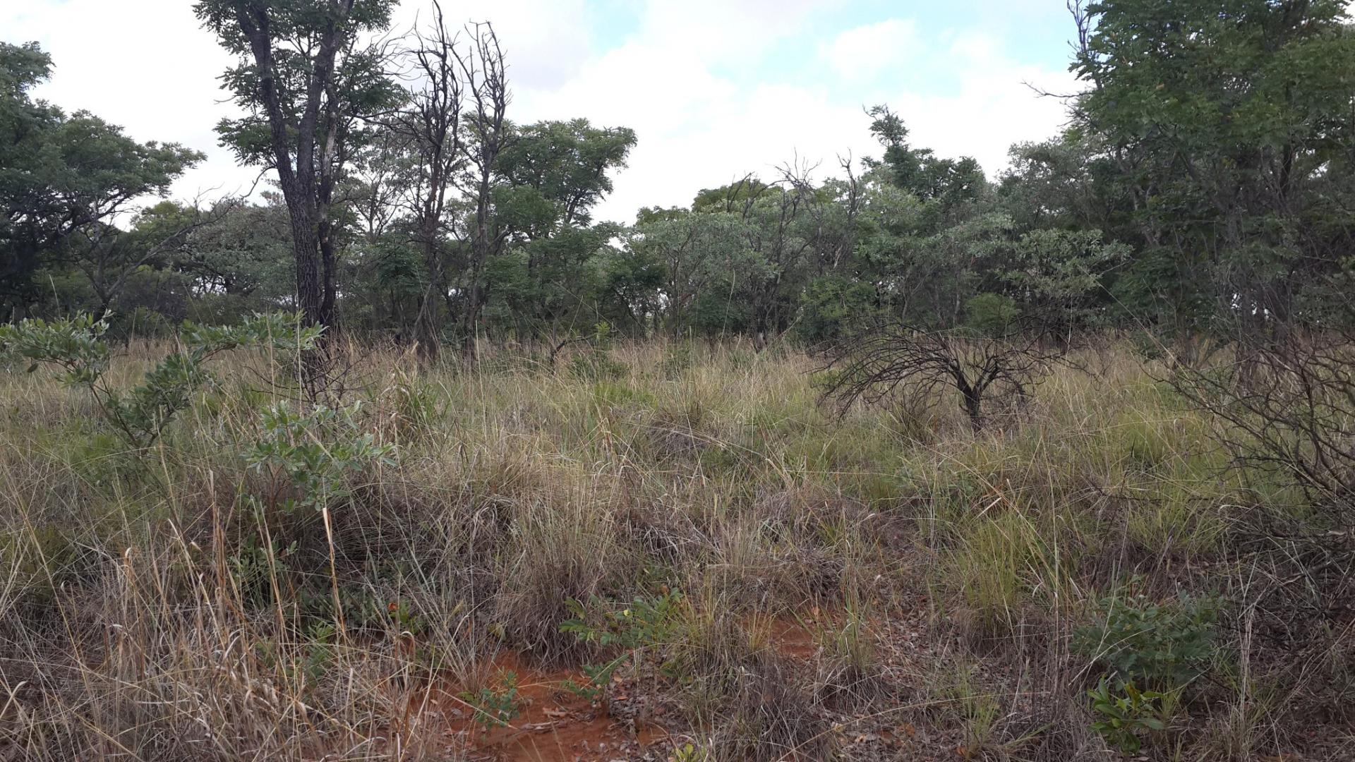 Front View of property in Mookgopong (Naboomspruit)