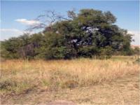  of property in Mookgopong (Naboomspruit)