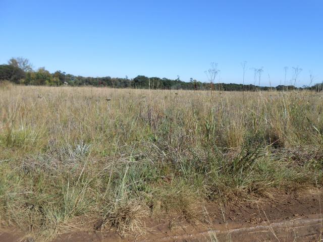 Front View of property in Bronkhorstspruit