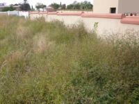 Land for Sale for sale in Honeydew