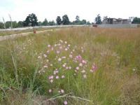 Land for Sale for sale in Honeydew