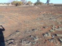 Cluster for Sale for sale in Randfontein