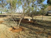 Garden of property in Bains Vlei