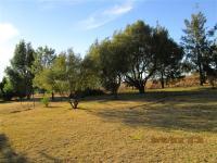 Backyard of property in Bains Vlei