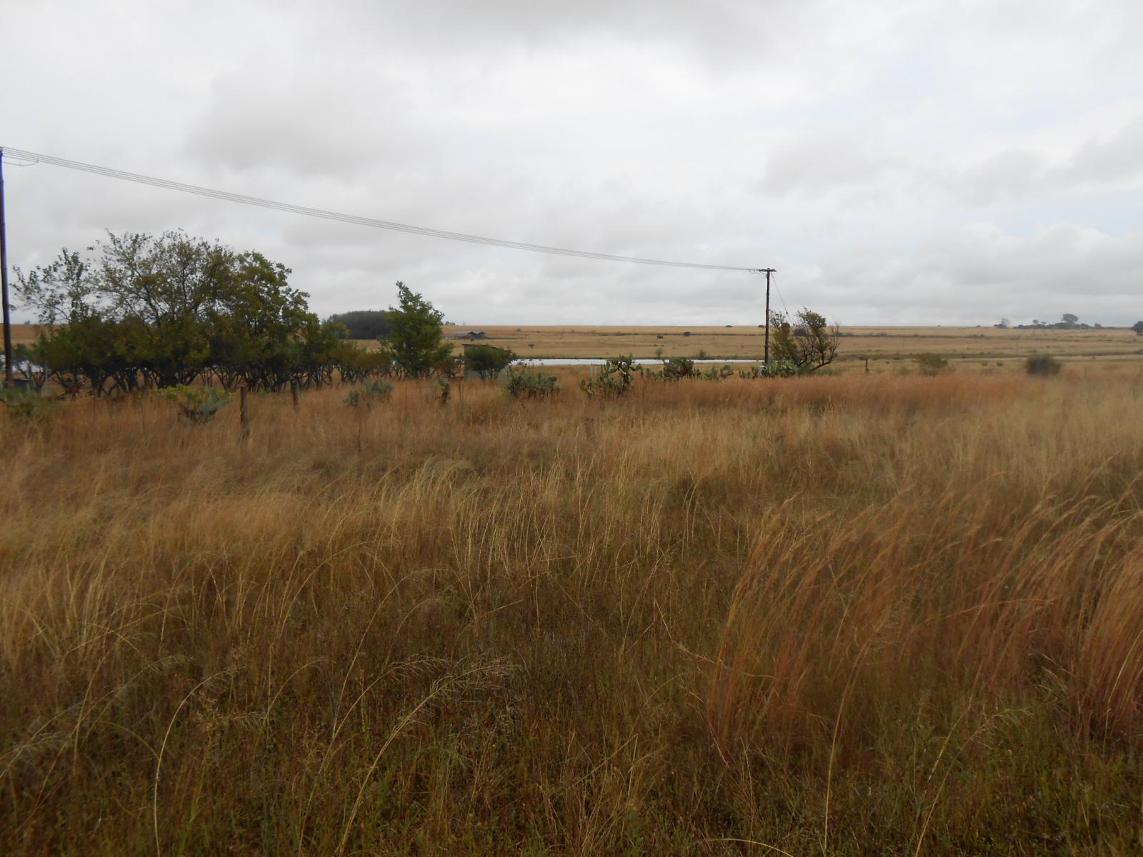 Front View of property in Derby