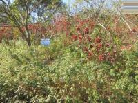 Land for Sale for sale in Pennington