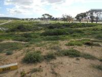 Front View of property in St Helena Bay