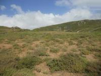 Front View of property in St Helena Bay